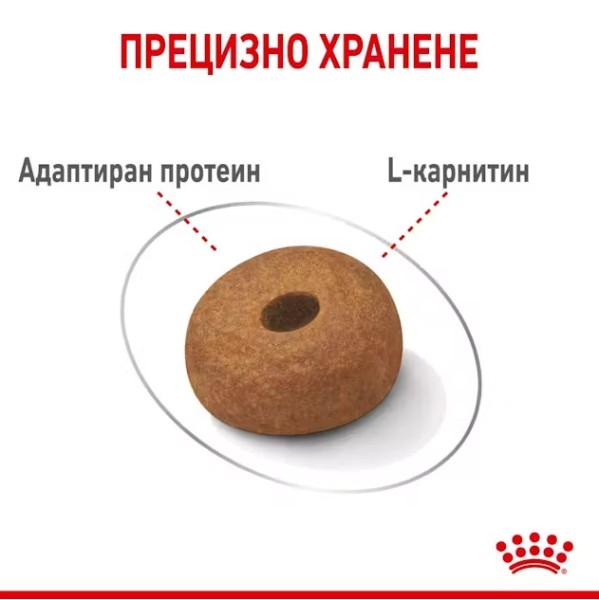 Royal Canin Light Weight Care Medium - Пълноценна суха храна за кучета от средни породи със склонност към наддаване на килограми - 12 кг